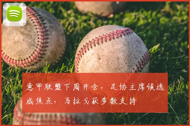 意甲联盟下周开会,足协主席候选成焦点,马拉戈获多数支持