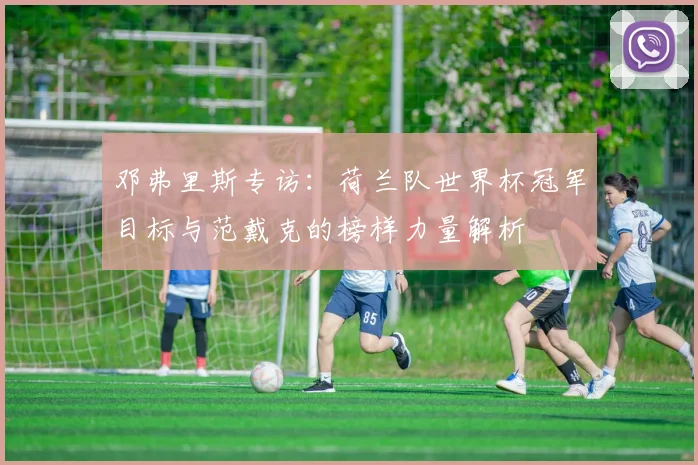 邓弗里斯专访:荷兰队世界杯冠军目标与范戴克的榜样力量解析