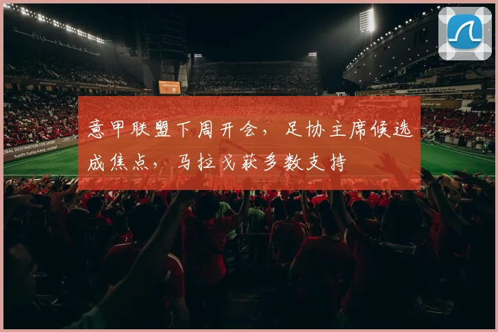 意甲联盟下周开会,足协主席候选成焦点,马拉戈获多数支持