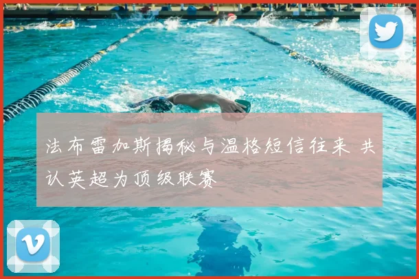 法布雷加斯揭秘与温格短信往来 共认英超为顶级联赛