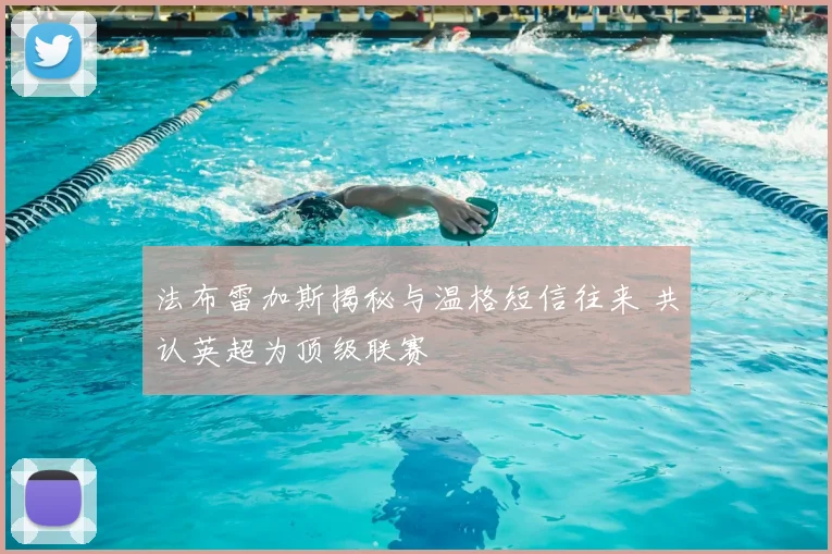 法布雷加斯揭秘与温格短信往来 共认英超为顶级联赛